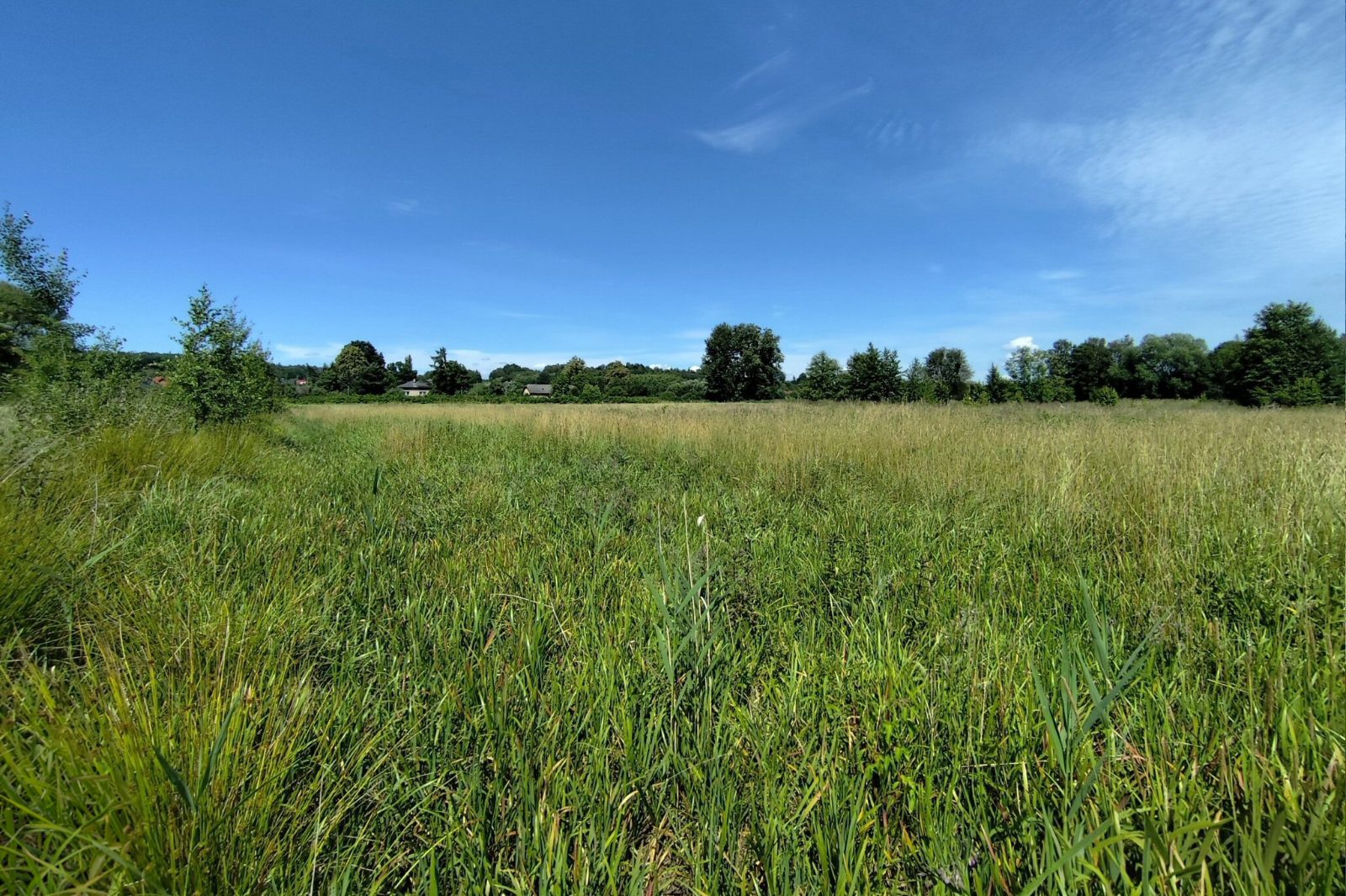 Działka rolno-budowlana 4211 m², Zebrzydowice — zdjęcie 4