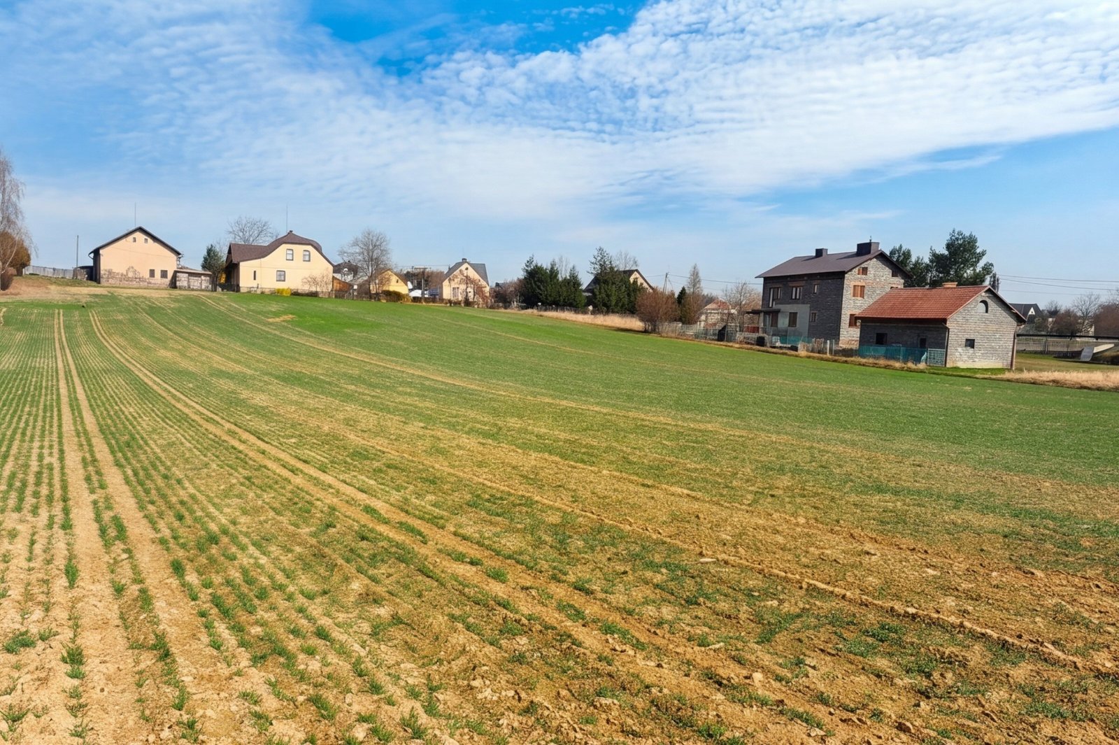 Działka Budowlana 1056 m² Pruchna – Media, Natura, Twój Wymarzony Dom — zdjęcie 4
